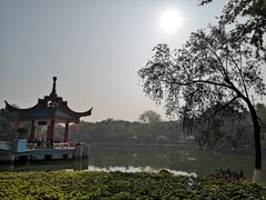 -金砂公园