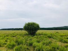 -塞罕坝国家级自然保护区