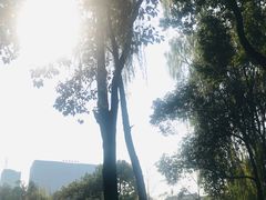 -四川大学(望江校区)