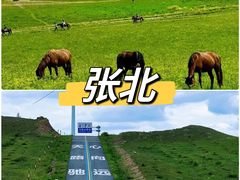 -锦江旅游(上海旅行社店)