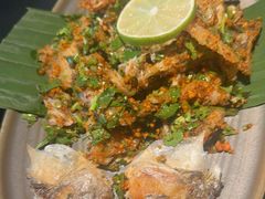 洱海手撕海鲈鱼-Ameigo梅果·云贵川bistro(长宁来福士店)