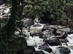-瓦屋山景区