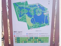 -大兴滨河森林公园