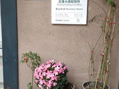-中国邮政(淮海中路)