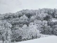 -太子岭滑雪场