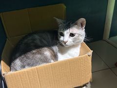 -谜盒子奇幻密室(南屏店)