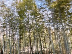 -游子山休闲旅游区