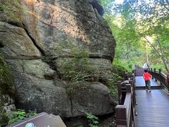 -汤旺河林海奇石景区