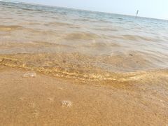 -碧海金沙