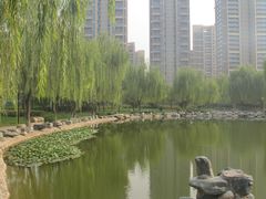 -木塔寺遗址生态公园