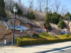 -棒棰岛宾馆景区