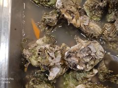 -好伦哥(温都水城店)