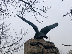 -北京鹫峰国家森林公园