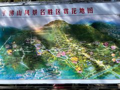 -千佛山风景名胜区