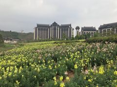 -清远熹乐谷温泉度假酒店