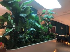 -悦海·家宴·冰花皮皮虾大锅贴(宝龙店)