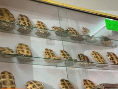 -华生行(大良店)