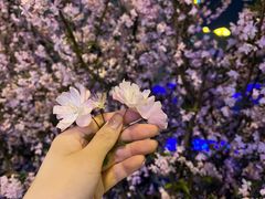 -新贝乐意大利餐厅(苏州中心店)