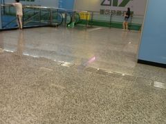 -大龙山(地铁站)