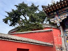 -五台山风景名胜区-罗睺寺