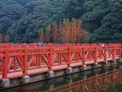-广州市石门国家森林公园