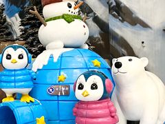 -湘江欢乐城欢乐雪域