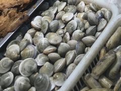 蛤蜊-赵璐海鲜面馆(德行路店)