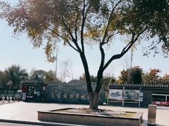 -长春北湖公园
