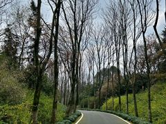 -宜兴龙背山森林公园