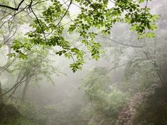 -藏龙百瀑风景区