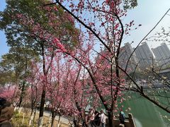 -望江楼公园