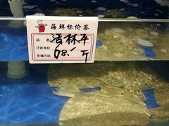 水产区-蓬莱春(芝罘店)