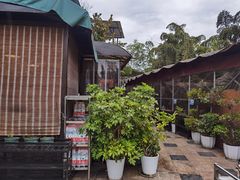 -先机泉水鸡汤(南山老君洞店)