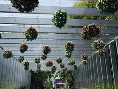 -深圳国际园林花卉博览园