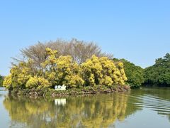 -大湾区中央湿地公园