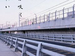 -海堤纪念公园