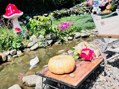 -HERRE·FARM 赫尔露营农场·团建聚会包场