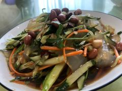 拉皮-东北风情(康桥路店)