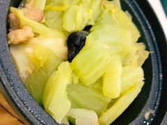 包菜-春梅里卤鹅馆·47年老字号(中山路店)