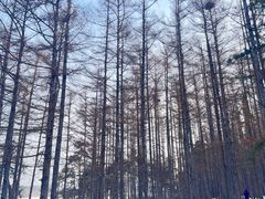 -长春净月潭风景名胜区