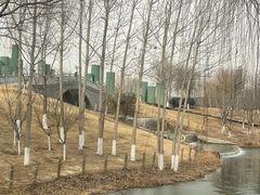 -西安浐灞国家湿地公园