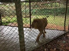 -海南热带野生动植物园