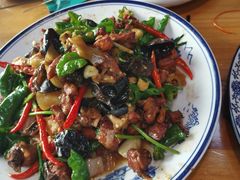 -食鸡公社辣子鸡·潍坊菜·烧烤