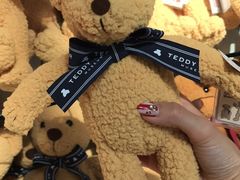 -济州岛泰迪熊博物馆