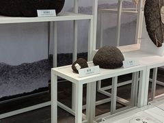 -中国茶叶博物馆(双峰馆区)