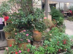 -听香·678茶铺(猛追湾店)
