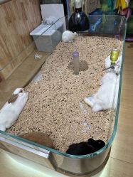 -小象动悟公园(龙湖亦庄天街店)