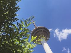 -辽宁电视塔