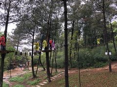 -梦幻奥陶纪景区