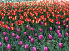 -长春公园(普阳街道)